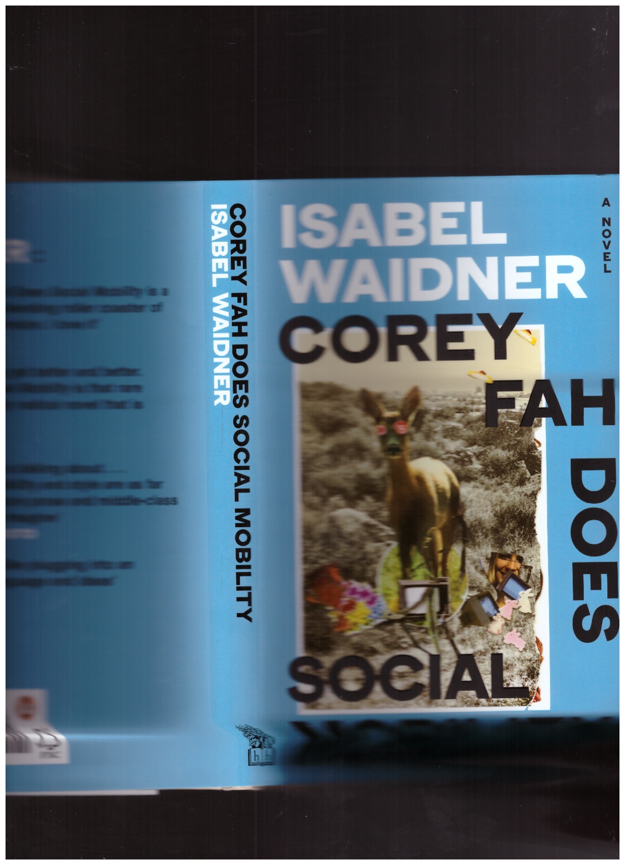 WAIDNER, Isabel - Corey Fah Does Social Mobility